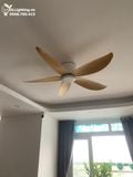  Nhân bản từ Quạt trần cổ ngắn QT009 
