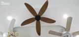  Quạt trần cổ ngắn QT010 
