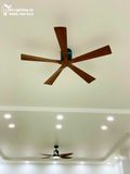  Quạt trần 5 cánh gỗ QT012 