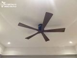  Quạt trần 5 cánh gỗ QT012 