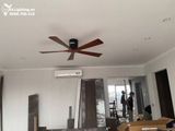  Quạt trần 5 cánh gỗ QT012 
