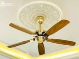  Quạt trần 5 cánh không đèn QT014 