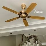  Quạt trần 5 cánh không đèn QT014 