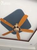  Quạt trần 5 cánh không đèn QT014 
