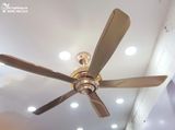  Quạt trần 5 cánh thép QT023 