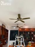 Quạt trần 5 cánh không đèn QT015 