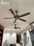  Quạt trần 5 cánh không đèn QT015 