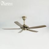  Quạt trần 5 cánh không đèn QT015 