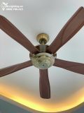  Quạt trần 5 cánh không đèn QT016 