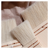  Bộ Cọ Lông Dê Mont Marte Studio Dùng Quét Gesso, Vecni, Màu Vẽ Hàng Chính Hãng 