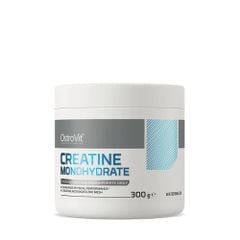 OstroVit Creatine Monohydrate 300G (60 Servings)