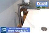  Vòi Chậu ToTo TLG04307V 