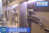  Vòi Chậu ToTo TLG11303V 