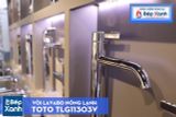  Vòi Chậu ToTo TLG11303V 