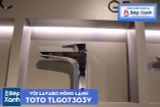 Vòi Chậu ToTo TLG07303V 