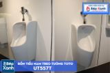  Bồn Tiểu Nam Treo Tường ToTo UT557T 