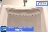  Bồn Tiểu Nam Treo Tường ToTo UT57S#W 