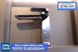  Vòi Chậu ToTo TLG02304V 