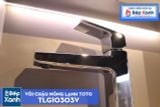  Vòi Chậu ToTo TLG10303V 