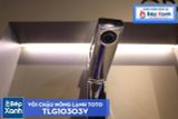  Vòi Chậu ToTo TLG10303V 