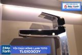  Vòi Chậu ToTo TLG10303V 