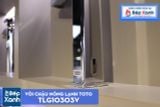  Vòi Chậu ToTo TLG10303V 