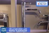  Vòi Chậu ToTo TLG11303V 
