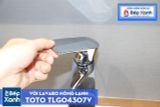  Vòi Chậu ToTo TLG04307V 
