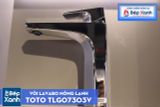  Vòi Chậu ToTo TLG07303V 