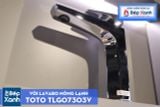  Vòi Chậu ToTo TLG07303V 