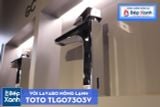  Vòi Chậu ToTo TLG07303V 