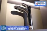  Vòi Chậu ToTo TLG01304V 