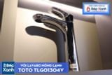  Vòi Chậu ToTo TLG01304V 