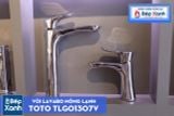  Vòi Chậu ToTo TLG01307V 