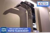  Vòi Chậu ToTo TLG08303V 