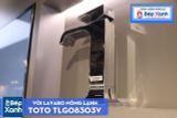  Vòi Chậu ToTo TLG08303V 