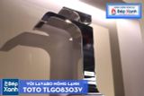 Vòi Chậu ToTo TLG08303V 