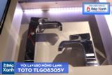  Vòi Chậu ToTo TLG08305V 