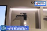  Vòi Chậu ToTo TLG08303V 