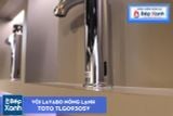  Vòi Chậu ToTo TLG09305V 