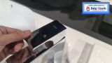 Vòi Chậu ToTo TLG08305V 