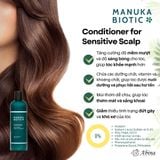 Dầu Xả Tinh Dầu Manuka Ngăn Gãy Rụng, Phục Hồi Hư Tổn Manuka Biotic 300ml