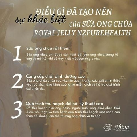Viên sữa ong chúa New Zealand tăng năng lượng NZPureHealth Royal Jelly 30 viên