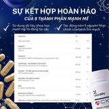 Viên CX8 Hỗ Trợ Tim Mạch, Phục Hồi Sau Đột Quỵ Xtendlife 90 Viên