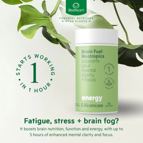 Viên Bổ Não, Tăng Tập Trung & Ghi Nhớ Lifestream Brain Fuel 60 Viên