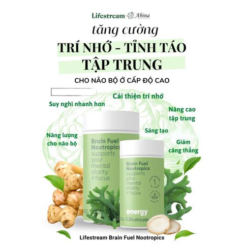 Viên Bổ Não, Tăng Tập Trung & Ghi Nhớ Lifestream Brain Fuel 60 Viên