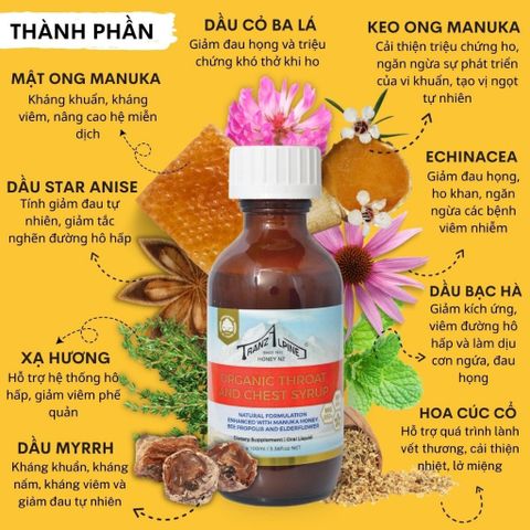 Siro mật ong Tranzalpine Organic Manuka Throat and Chest Syrup MG550+ - Giảm ho, đau họng