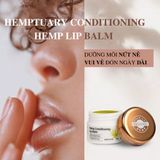 Balm Dưỡng môi hạt gai dầu Hemp Lip Balm