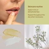 Balm Dưỡng môi hạt gai dầu Hemp Lip Balm