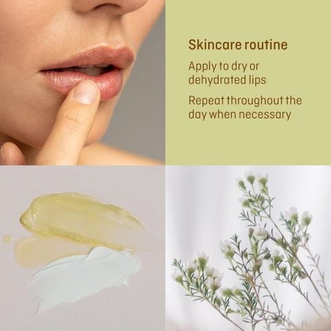 Balm Dưỡng môi hạt gai dầu Hemp Lip Balm
